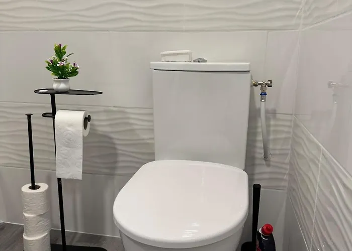 Lune Argentee - Centre Ferrand דירה קלרמונט-פרנד